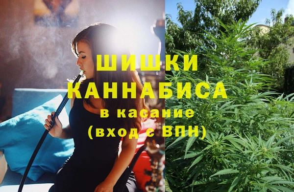 ешки Алзамай
