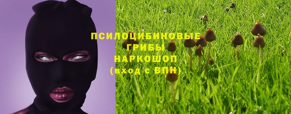 spice Абаза