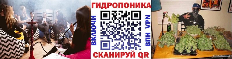 Канабис SATIVA & INDICA  купить наркотик  Шумерля 